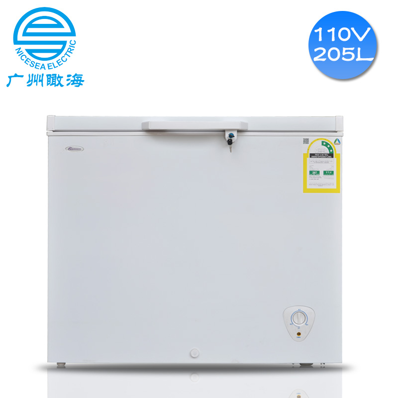 110V外貿(mào)冰柜205L出口沙特冷藏柜